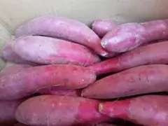 茨城県産紅はるかLサイズ以上10kg