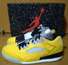 【新品未使用 希少サイズ 完売品】NIKE JORDAN Spizike Low