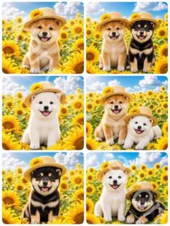 2026年最新】柴犬 ハンドメイドの人気アイテム - メルカリ