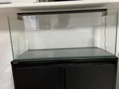 GEX  60㎝水槽　　※水槽台は別