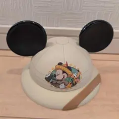 ディズニー ミッキー 空き缶