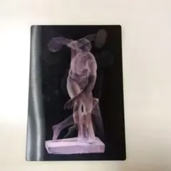 円盤投げ像 3D　レンチキュラー ポストカード　角度で絵が変わる