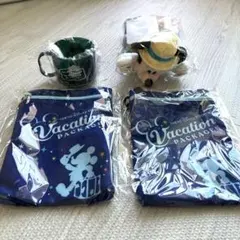 東京ディズニーリゾート バケーションパッケージ セット