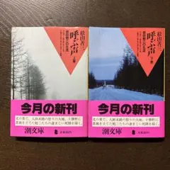 玉井徳太郎 直筆彩色 武者絵 2026年最新】玉井徳太郎の人気アイテム - メルカリ