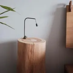 専用です　　ちょこっとライト　ユーカリ 2026年最新】ちょこっとライト ユーカリの人気アイテム - メルカリ