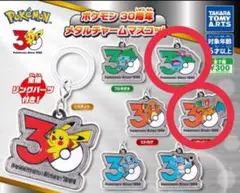 ポケモン30周年メタルチャームマスコット 2個セット