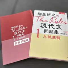 柳生好之のThe Rules現代文問題集1入試基礎