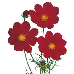 けん様 リクエスト 8点 まとめ商品