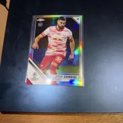 Item thumbnail for item f7c69d28-cc39-468e-89e4-45aa47f3c3dc