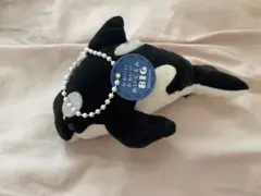 かわいい かわいい ぬいぐるみ BIG シャチ ガチャ シャチBのサムネイル
