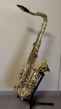 2026年最新】YAMAHA yts-24の人気アイテム - メルカリ