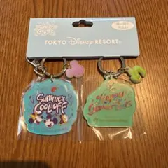 東京ディズニーリゾート アクリルキーホルダーセット