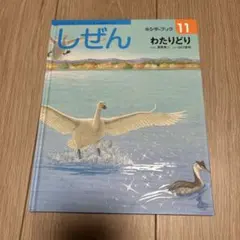 Item thumbnail for item f0a705d3-d8cb-4c87-bd0d-97670f16a25d