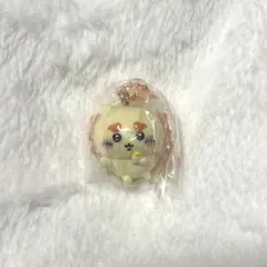 【シーサー】ちいかわ マスコットつきビスケット