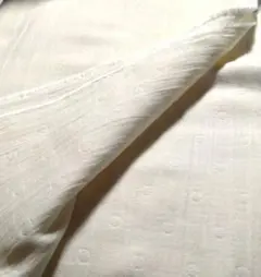 Item thumbnail for item f89493f2-30fa-46ef-9267-769f7fc2fad7