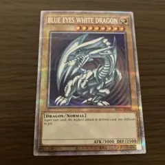 遊戯王 青眼の白龍 英語 4つ目 五つ目 エラーカード 希少！！？ - メルカリ