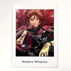 三毛縞斑 ぱしゃっつ vol.5