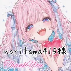 noritama415様 リクエスト 2点 まとめ商品