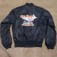 2025年最新】Harley-Davidson メンズ ナイロンジャケットの人気