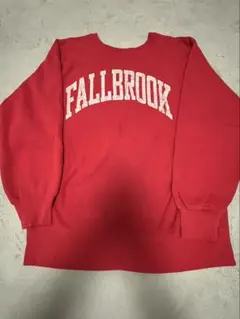 80s champion リバースウィーブ　トリコタグ　USA製