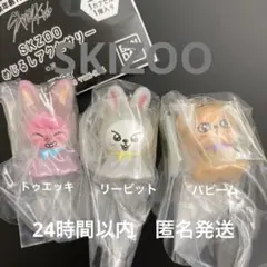 skzoo めじるしアクセサリー　リービット　パピーム　トゥエッキ　スキズ