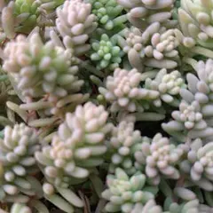 ゆみっくり様 リクエスト 2点 まとめ商品