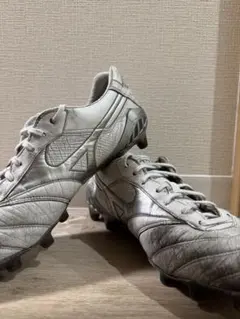 Item thumbnail for item b2375afb-f590-4e6b-b320-01cd44fe6321