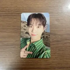 SEVENTEEN シーグリ トレカ ディノ