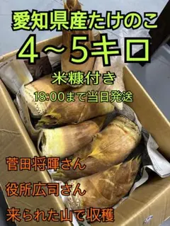 2602 福島県産 山菜 孟宗竹 筍 たけのこ5kg - メルカリ