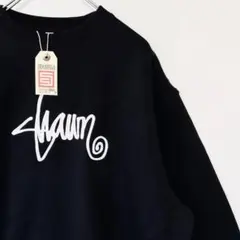 海外限定 トレーナー 刺繍 ワールドツアー 裏起毛 M エスダブル