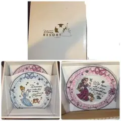 ディズニープリンセス プレート2点セット バラ売り不可のサムネイル
