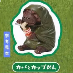 朝隈俊男 アニマルキャンプ Part3 カバとカップめんのサムネイル