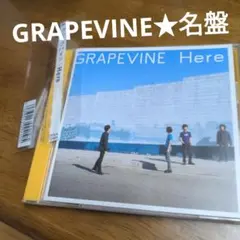 名盤★グレイプバイン/Here　【CD複数購入の方お値引きします！❢】