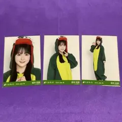乃木坂46 生写真 福井県ver.コーデ 恐竜 鈴木佑捺 3種コンプ - メルカリ