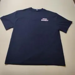 Item thumbnail for item d3c85000-eaa9-4e6b-b034-2b9455eff907