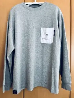 Item thumbnail for item 7c3cee70-2037-4759-9d10-a574ccda23d1