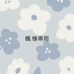 楓様専用 新世界 ネームステッカー リュウジ