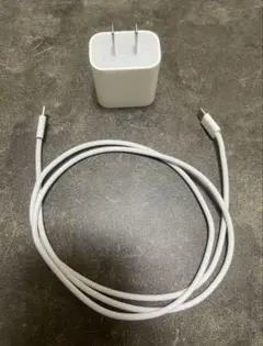 【純正品】Apple タイプC 高速充電器 ケーブルセット