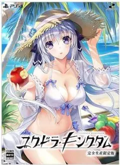 新品 ファミ通DXパック PS4 ユグドラ・キングダム 完全生産限定版