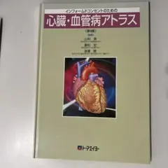 Item thumbnail for item ccb18713-dedc-47b3-bee7-2ee216f9f17a