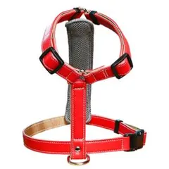 Item thumbnail for item 2ade5327-5dc8-40ae-9205-47c5488a76f0