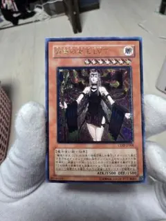 2026年最新】魅惑の女王レベル7の人気アイテム - メルカリ