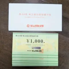 ビックカメラ 株主優待 5,000円分