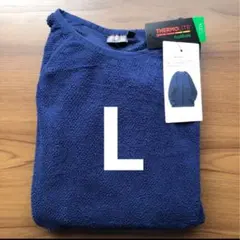 Item thumbnail for item 57bd60f3-4d00-4403-8527-0be059a4c5cc