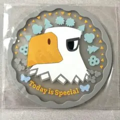 どうぶつの森 クリアラバーコースター アポロ