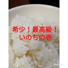 残りわずか！最高級品種！いのちの壱玄米29キロ 7年産 - メルカリ