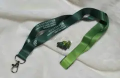 サウジアラビア