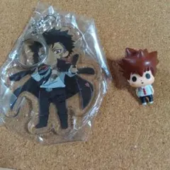 家庭教師ヒットマンREBORN！ アクリルキーホルダーとフィギュア　セット