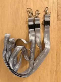 JAL SKY MUSEUM ストラップ グレー