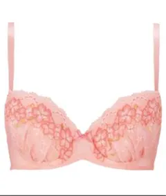 Triumph ブラ&ショーツ セット